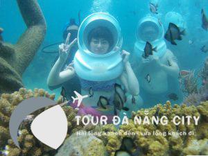 tour cù lao chàm đi bộ dưới biển