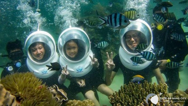 trải nghiệm lặn ngắm san hô Cù Lao Chàm