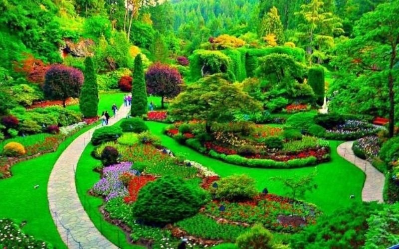 Những vườn hồng đẹp nhất thế giới
