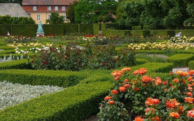 Vườn hoa hồng đẹp ở Đan Mạch