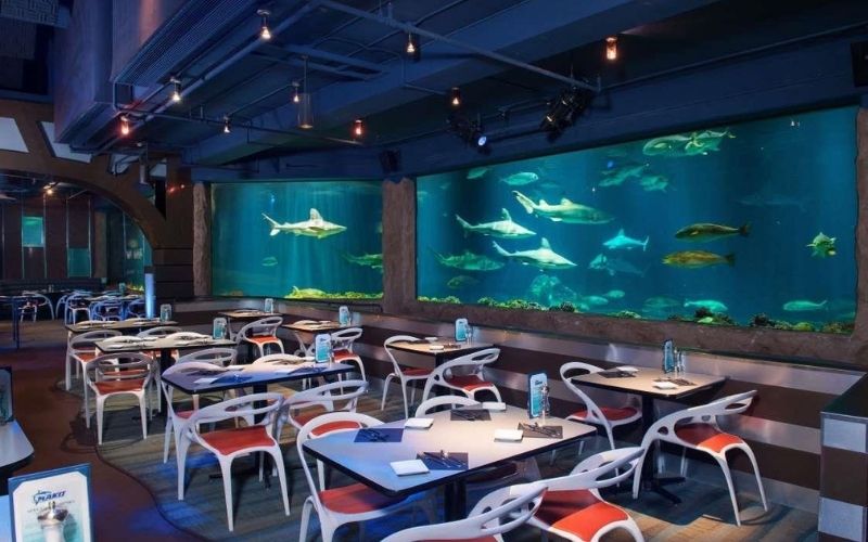 Nhà hàng Ossiano Dubai đã vinh dự được tạp chí du lịch Timeout bình chọn là nhà hàng hải sản ngon nhất ở Dubai.