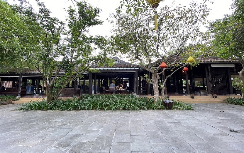 Vườn dâu cổ thụ ở làng lụa Hội An
