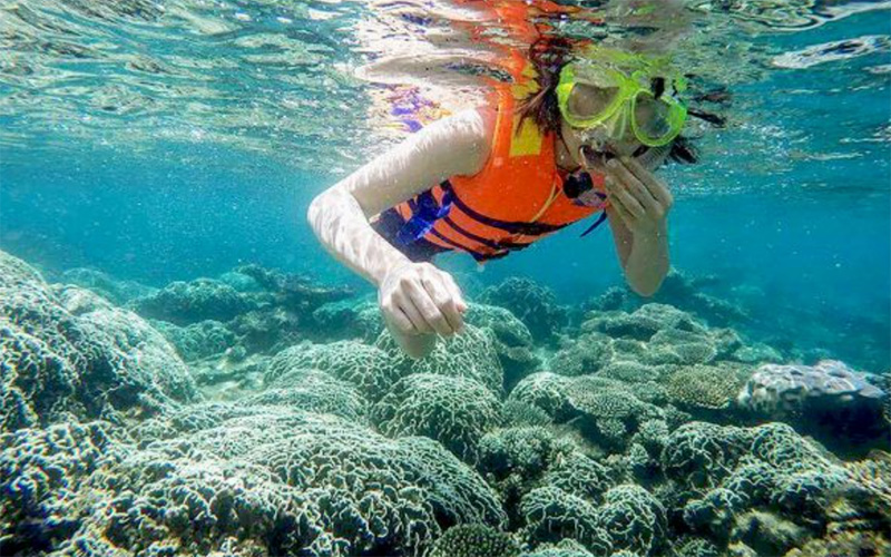 Cù Lao Chàm - Điểm lặn ngắm san hô nổi bật ở Đà Nẵng