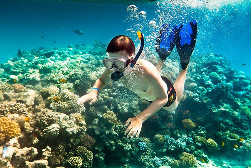 Người không biết bơi vẫn có thể lặn ngắm san hô