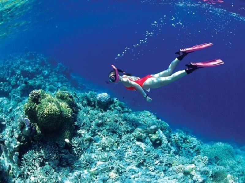 Lặn ngắm san hô không quá nguy hiểm như nhiều người nghĩ
