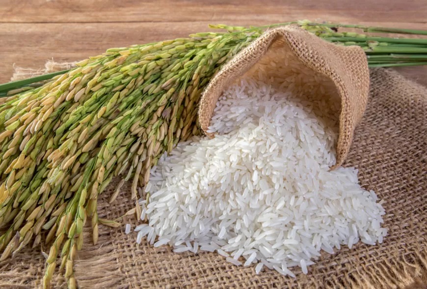 Gạo nấu cơm được chọn là gạo cũ để hạt gạo mềm dẻo hơn