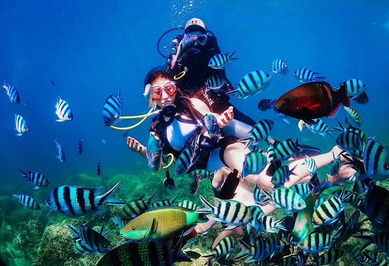 Đừng quên thử lặn ngắm san hô bạn nhé!